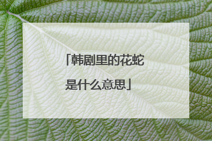 韩剧里的花蛇是什么意思