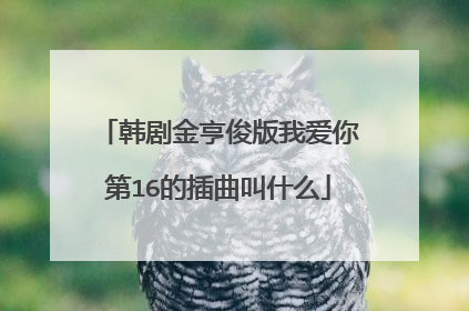 韩剧金亨俊版我爱你第16的插曲叫什么