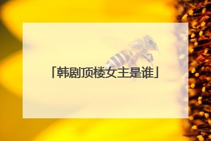 韩剧顶楼女主是谁