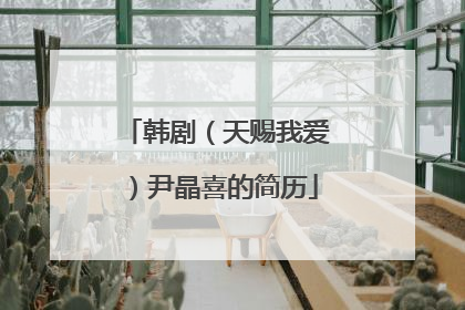 韩剧（天赐我爱）尹晶喜的简历