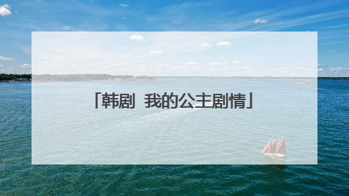 韩剧 我的公主剧情