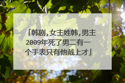 韩剧,女主姓韩,男主2009年死了男二有一个手表只有他戴上才