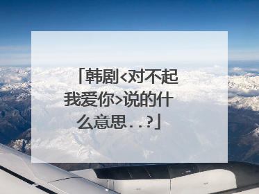 韩剧<对不起我爱你>说的什么意思..?