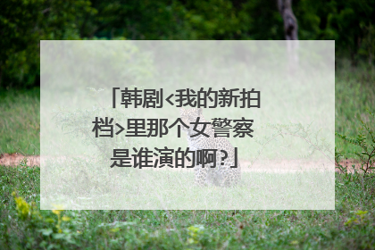 韩剧<我的新拍档>里那个女警察是谁演的啊?