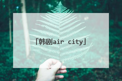 韩剧air city