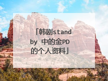 韩剧standby 中的金PD的个人资料