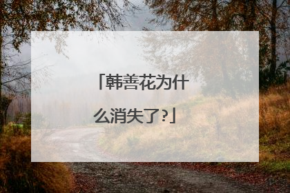 韩善花为什么消失了?