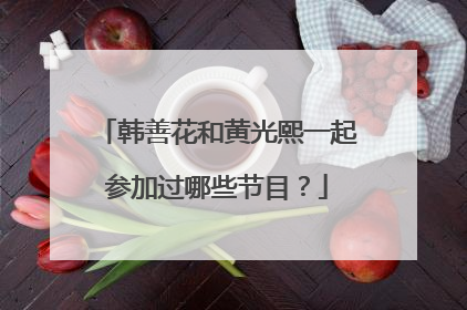 韩善花和黄光熙一起参加过哪些节目？