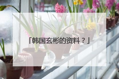 韩国玄彬的资料？