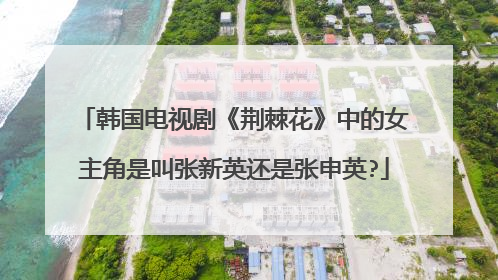韩国电视剧《荆棘花》中的女主角是叫张新英还是张申英?