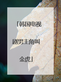 韩国电视剧男主角叫金虎