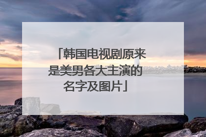 韩国电视剧原来是美男各大主演的名字及图片