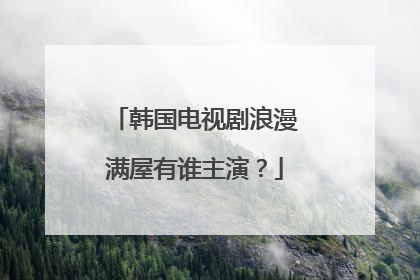 韩国电视剧浪漫满屋有谁主演？