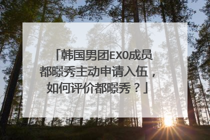 韩国男团EXO成员都暻秀主动申请入伍,如何评价都暻秀?