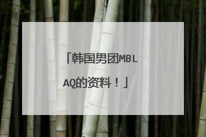 韩国男团MBLAQ的资料!