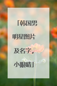 韩国男明星图片及名字,小眼睛