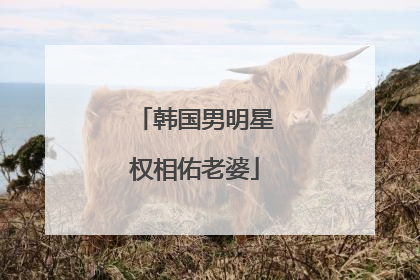 韩国男明星权相佑老婆