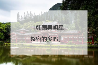 韩国男明星整容的多吗