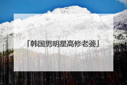 韩国男明星高修老婆
