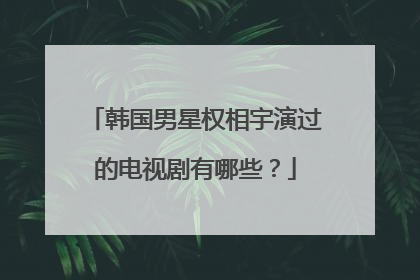 韩国男星权相宇演过的电视剧有哪些？