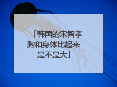 韩国的宋智孝胸和身体比起来是不是大
