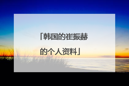 韩国的崔振赫的个人资料