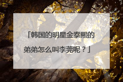 韩国的明星金泰熙的弟弟怎么叫李莞呢?