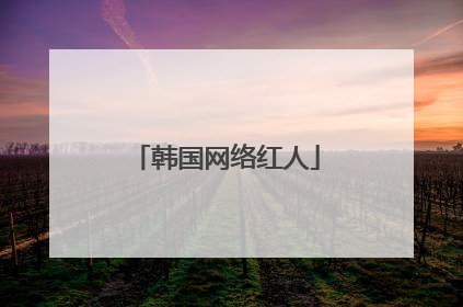 韩国网络红人
