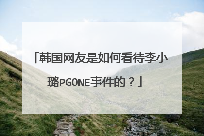 韩国网友是如何看待李小璐PGONE事件的?