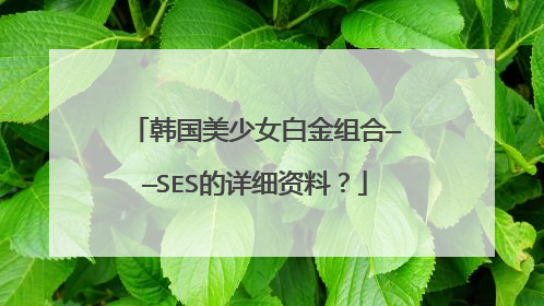 韩国美少女白金组合——SES的详细资料？