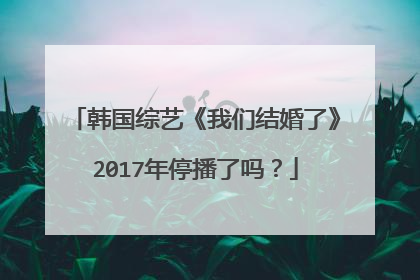 韩国综艺《我们结婚了》2017年停播了吗？