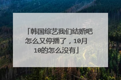韩国综艺我们结婚吧怎么又停播了,10月10的怎么没有