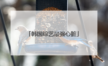 韩国综艺最强心脏