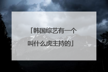 韩国综艺有一个叫什么虎主持的