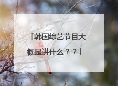 韩国综艺节目大概是讲什么？？