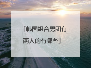 韩国组合男团有两人的有哪些