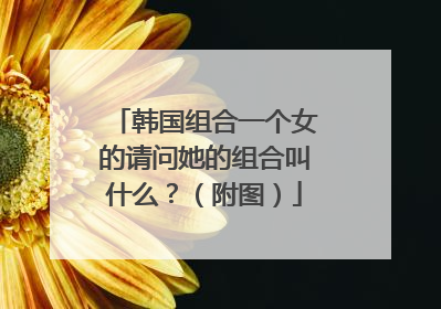 韩国组合一个女的请问她的组合叫什么？（附图）