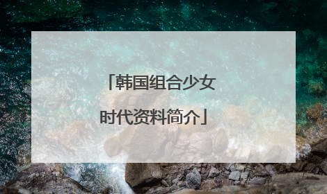 韩国组合少女时代资料简介