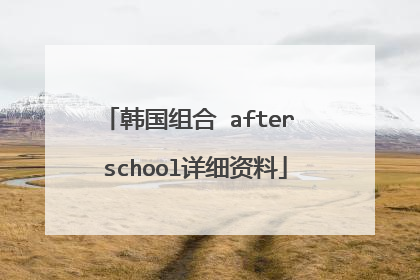 韩国组合 after school详细资料