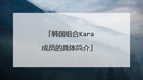韩国组合Kara成员的具体简介