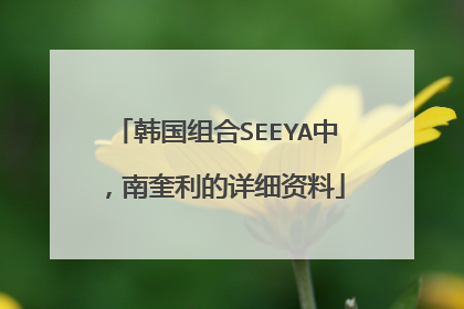 韩国组合SEEYA中,南奎利的详细资料