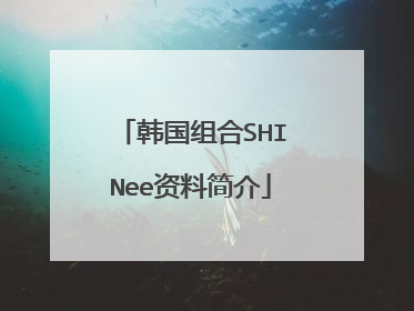 韩国组合SHINee资料简介