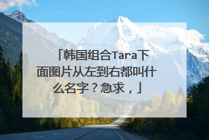韩国组合Tara下面图片从左到右都叫什么名字？急求，