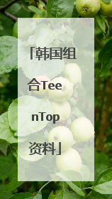 韩国组合TeenTop资料
