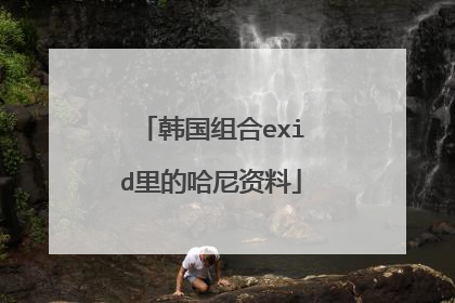 韩国组合exid里的哈尼资料