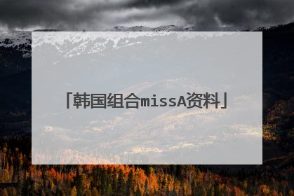 韩国组合missA资料