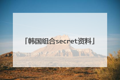 韩国组合secret资料