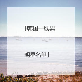 韩国一线男明星名单