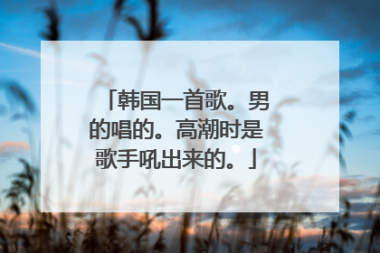 韩国一首歌。男的唱的。高潮时是歌手吼出来的。