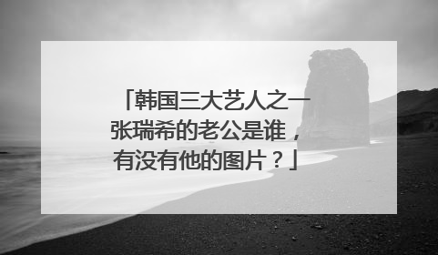 韩国三大艺人之一张瑞希的老公是谁，有没有他的图片？